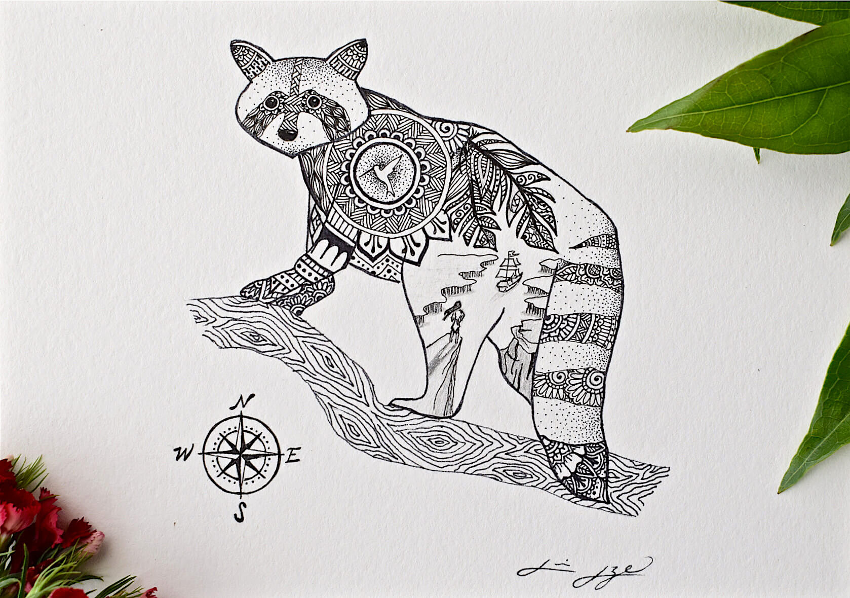 pocahontas racoon drawing