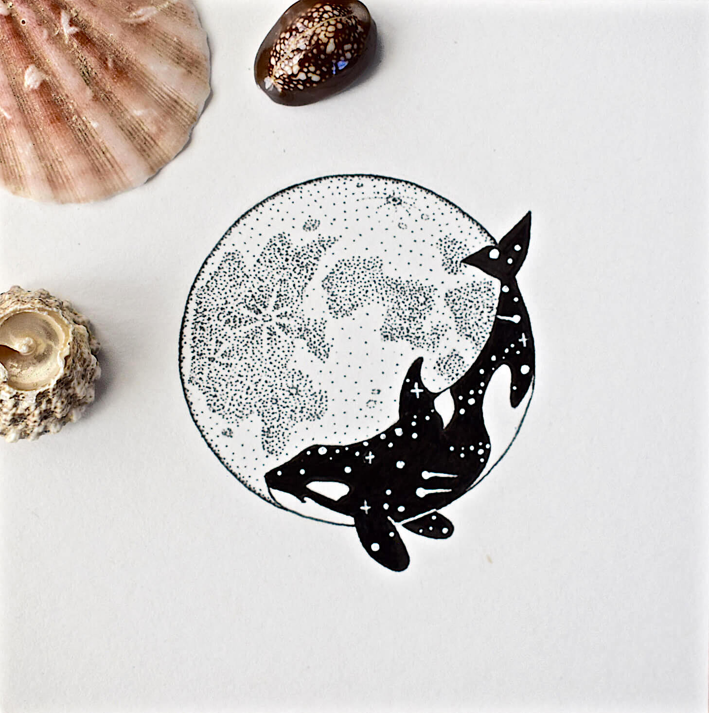 space orca moon drawing