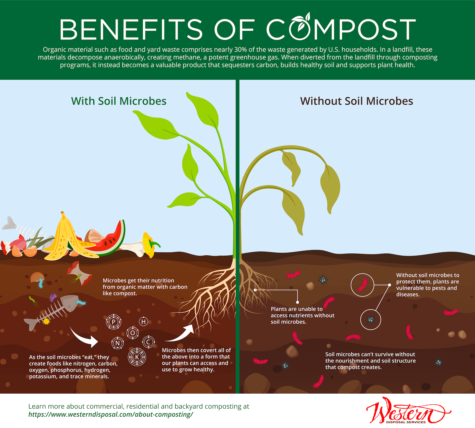 Western Disposal composting infographic